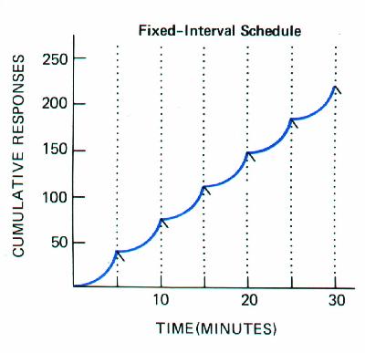 What is a variable interval schedule?