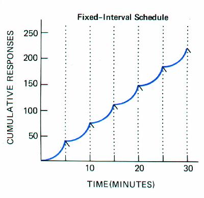 Sample Quiz For Schedules Of Reinforcement