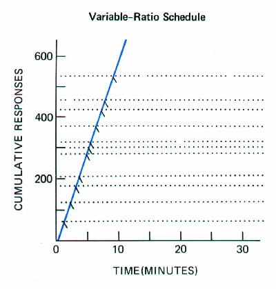 What is a variable interval schedule?