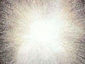 Big Bang