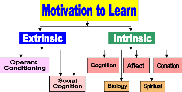 what is cognitive disequilibrium